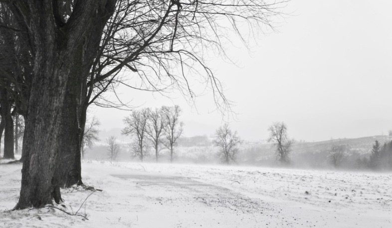 Հանրապետության շրջանների մեծ մասում սպասվում է ձյուն, լեռնային որոշ վայրերում՝ բուք