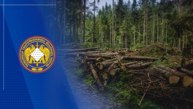 Գյուլագարակում ընկերության կողմից ոչնչացվել է 327 ծառ. պետությանն ու համայնքին պատճառված վնասն ամբողջությամբ վերականգնվել է