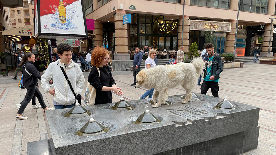 Movchan’s Group. Ներդրողներն իրենց գումարներով են քվեարկում Հայաստանի օգտին