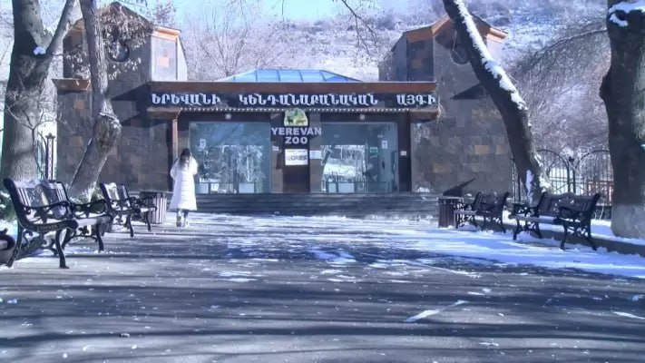 Երևանում կենդանաբանական այգուց Հերացու անվան համալսարանական հիվանդանոց է տեղափոխվել 24-ամյա տղա