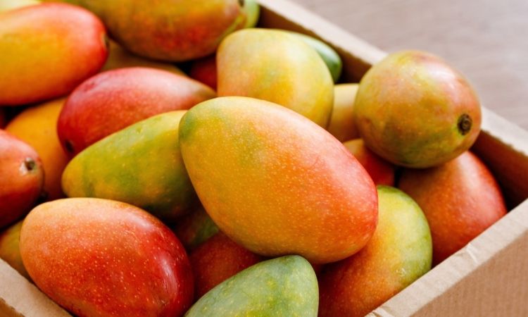 Գիտնականները հայտնաբերել են միրգ, որը ձեզ ավելի խելացի է դարձնում