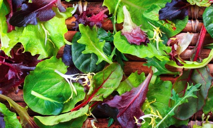 8 անգամ ավելի շատ վիտամիններ․ Հայտնաբերվել է ամենաառողջարար կանաչեղենը