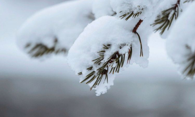 Օդի ջերմաստիճանը կնվազի 7-10 աստիճանով․ եղանակն՝ առաջիկա օրերին