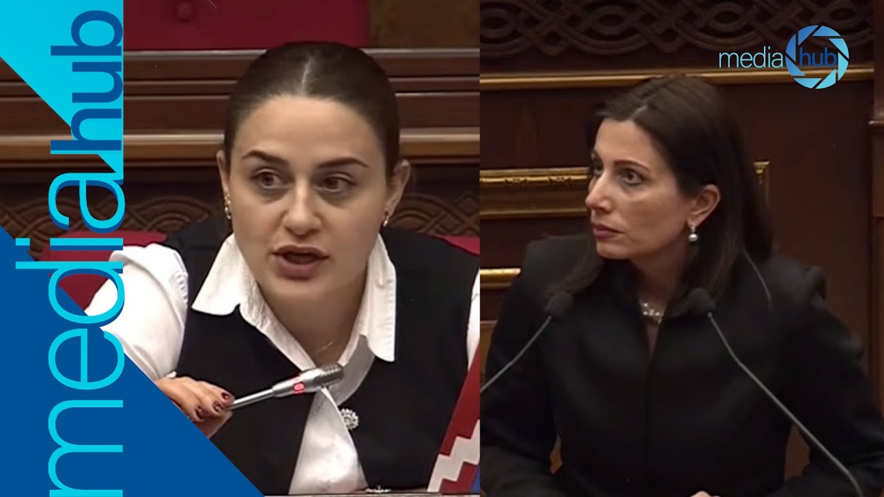 Կատաղության դեմ պատվաստանյութ չկա պոլիկլինիկաներում. պատգամավորը դժգոհ է